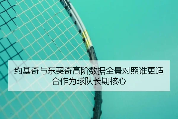 约基奇与东契奇高阶数据全景对照谁更适合作为球队长期核心